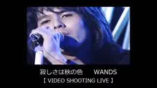寂しさは秋の色　WANDS【 LIVE-VIDEO SHOOTING 】