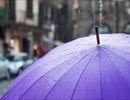 【癒し】雨粒が傘に当たる音（睡眠用BGM・作業用BGM・ASMR）