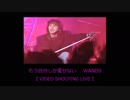もう自分しか愛せない　WANDS【 LIVE-VIDEO SHOOTING 】