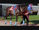 【ウイニングポスト8 2015】女馬主と早世馬の新世界【実況プレイ】326