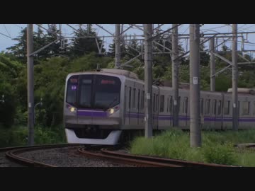 ホモと見る踏切事故