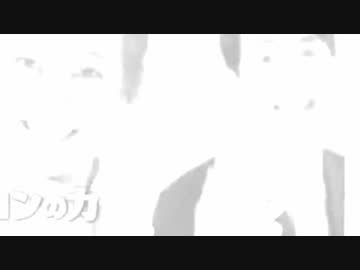 モーレスター40478