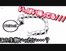 挿れて挿れられての乱〇パーティの行く末は！？！？！？