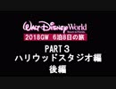 【WDW】ディズニーワールド旅行記 2018GW【PART3後編】