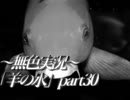 《無色実況》※R-18G※鯉を信仰する町で｢羊の水」part30
