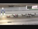 2019年1月6日高知競馬5R 馬酔人協賛 今年もよろしく特別(C2-5組) エーシンザピーク