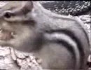 ﾑｯ!!殺気を感じる