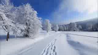 【癒し】雪の上を歩く音《60分》（睡眠用BGM・作業用BGM・ASMR）