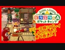 【ポケ森】どうぶつの森ポケットキャンプ：リリース時にプレイしていた人へ。前編