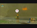【下手くそプレイ実況】ゼルダの伝説ブレスオブザワイルド　part17