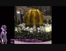 ゆかりの旅打ち2　韓国リベンジ編　12月30日