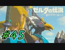 【ゼルダ実況】いやキレてねぇーし！  #45 【ゼルダの伝説ブレスオブザワイルド】