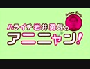 ハライチ岩井勇気のアニニャン！　2019年01月08日