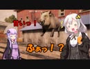 【7DTD】あかりとゆかりの7大豆日記【α17.0】6記録目