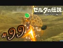 新作ゼルダを風タクしかやったことないうp主がプレイしてしまった part99