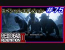 【【要塞に奇襲】】#75 RED DEAD REDEMPTION 2：スペシャルエディション【ハイリスクな宝の地図３発見】