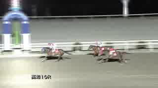 2019年1月8日高知競馬10R フクジュソウ特別(C3-1組) ピースフルリバティ