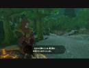 【ゼル伝BotW】100年の眠りから目覚めた勇者の冒険２７【もちまる】