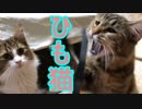 梱包用のヒモ・・・大好き☆彡