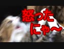 ベットから落とされて喧嘩勃発！？