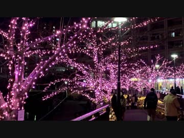 クリスマス　ロードバイクで気ままにイルミネーション巡り