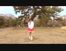 【みふう】極楽浄土 を猫の如く【踊ってみた】