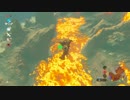 【実況】愛に生きるゼルダの伝説ブレスオブザワイルド 英傑たちの詩part11