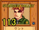 頑張る社会人のための【STARDEW VALLEY】プレイ動画113回