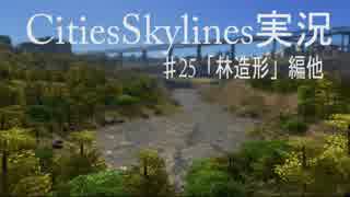 四文字熟語で挑む街づくり‼【Cities:Skylines】＃25