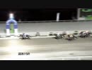 2019年1月9日高知競馬10R Ａ社競馬予想会協賛 われらのＹＯＺＡ特別(C1-2組) エクセレンワールド