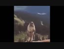色んな曲の後にビーバーを絶叫させた。2