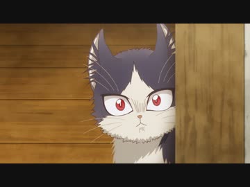 同居人はひざ、時々、頭のうえ。　第1話　未知との遭遇