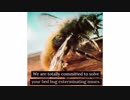 Certified OCP Bed Bug Exterminator in Cincinnati, OH