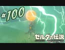 新作ゼルダを風タクしかやったことないうp主がプレイしてしまった part100