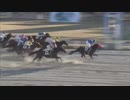2019年1月3日川崎競馬9R 猪突猛進（ちょとつもうしん）特別(B2・B3) トップスター