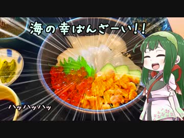 ［中国酷道野営編］GSX-R1000とどこへ行こう？part.01[行きはよいよい帰りは…？]