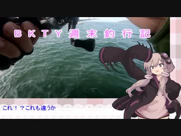 BKTY週末釣行記