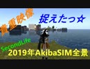2019年1月SecondLifeAkibaSIM全景