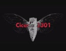 セミ兄貴が残した暗号の謎.Cicada 3301
