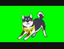 しっぽを振る黒井しばGB