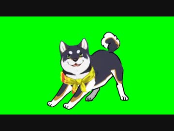 しっぽを振る黒井しばGB