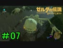 【実況】見落としが多い勇者の冒険part7【ブレスオブザワイルド】