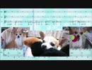 しあわせをありがとう　愛犬Yumechiへ【Sinsy/CeVIO】
