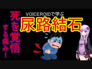 【VOICEROID解説】尿路結石