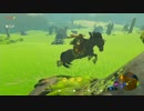 【下手くそプレイ実況】ゼルダの伝説ブレスオブザワイルド　part19