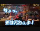 【OVERWATCH】斧のほうが攻撃力高いのか？【オーバーウォッチ】