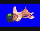 オモチャ大好きサーファーBOY　静止画BB　2