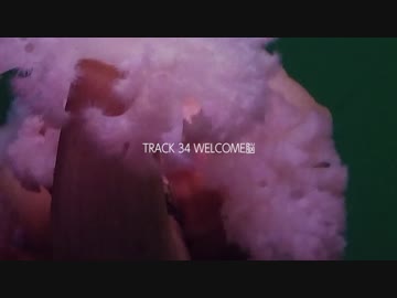 TRACK 34 - フリートラック / トラック提供