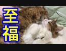 愛し合う二人(匹)の時は永遠に