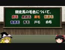 競走馬の毛色について